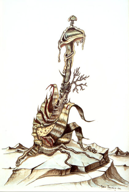 Albero - Fungo su roccia