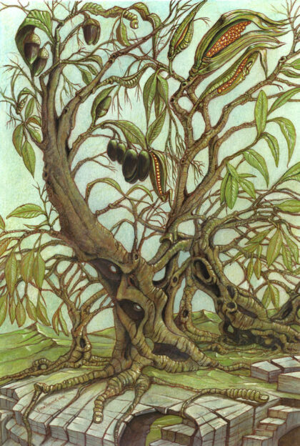 Metamorfosi nel bosco