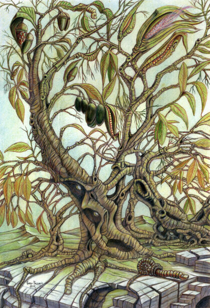Alberi in metamorfosi