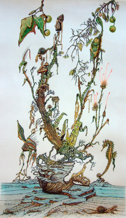 Metamorfosi di un sogno