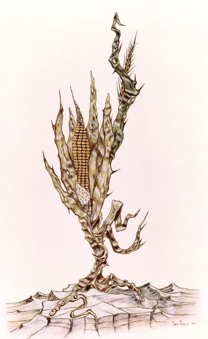 Pannocchia con spiga - 1985